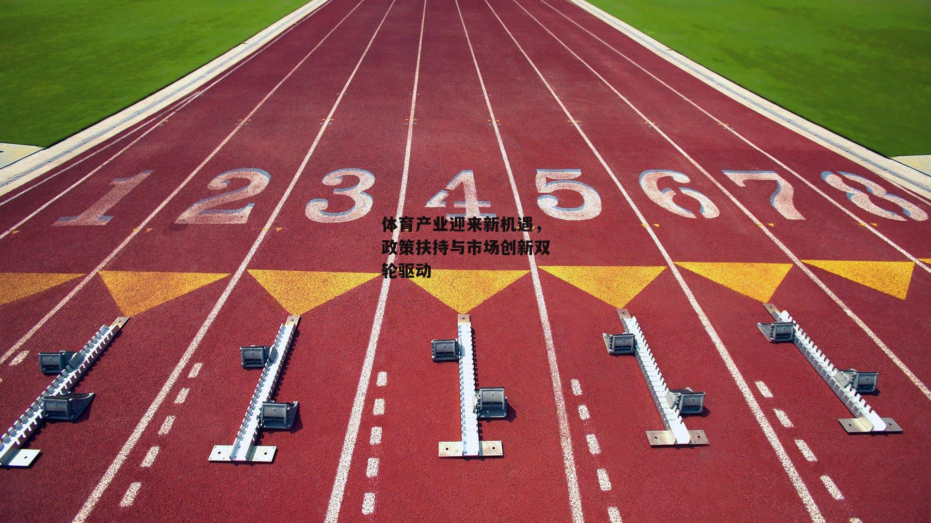 体育产业迎来新机遇,政策扶持与市场创新双轮驱动