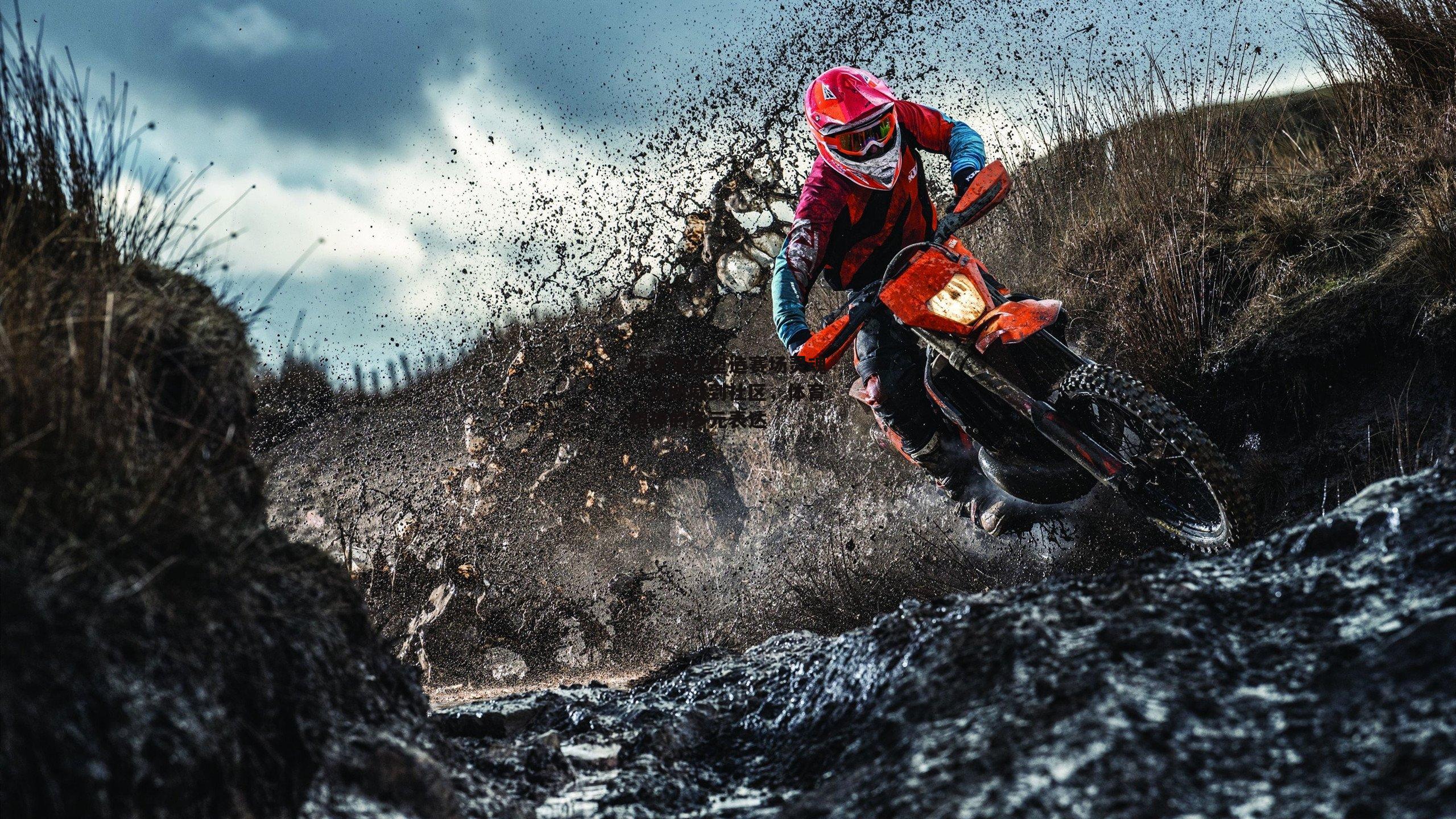 球迷文化塑造赛场灵魂,从助威到社区,体育精神的多元表达