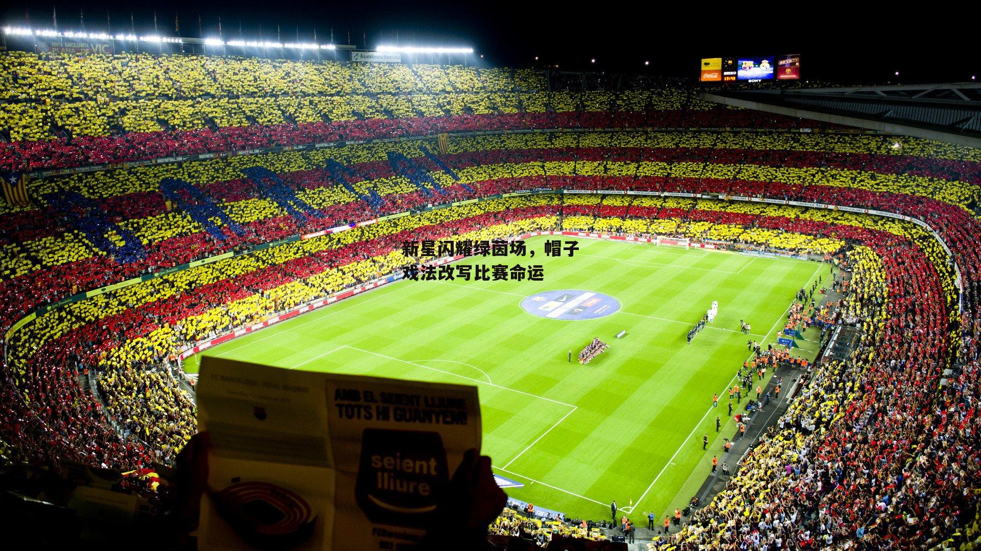 新星闪耀绿茵场,帽子戏法改写比赛命运